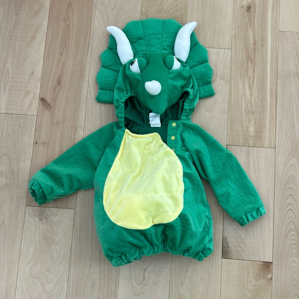 Dinosaur costume
